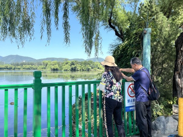 九龙证券 从3米降至1.2米 ，颐和园团城湖桥区围栏降个儿获赞