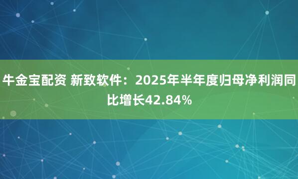 牛金宝配资 新致软件：2025年半年度归母净利润同比增长42.84%