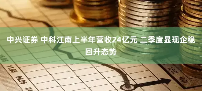 中兴证券 中科江南上半年营收24亿元 二季度显现企稳回升态势